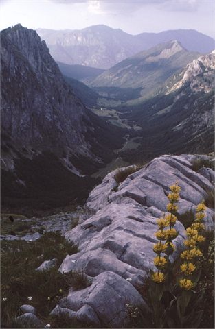 údolí Grbaja shora